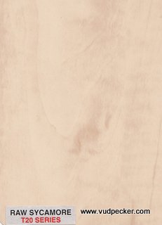 Raw Sycamore-T20
